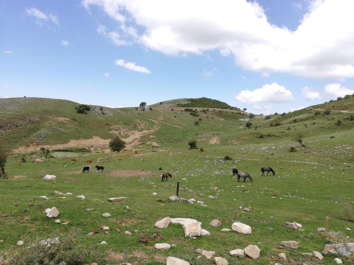 Olympus Country House Karia  Luaran gambar
